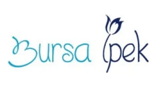 Bursa İpek